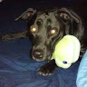 Meet your Posher, Cynthia